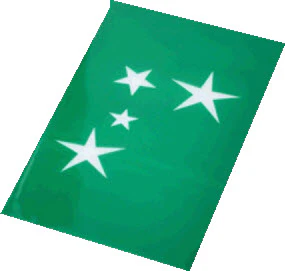 4 Stars Stencil For Tattoo Spray - Image 2