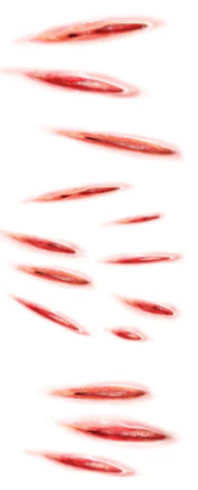 Claw Marks - Trauma Tattoos - Image 3
