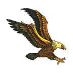 Eagle Tattoo