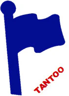 Flag Tantoos (20 Sun Tan Stickers)