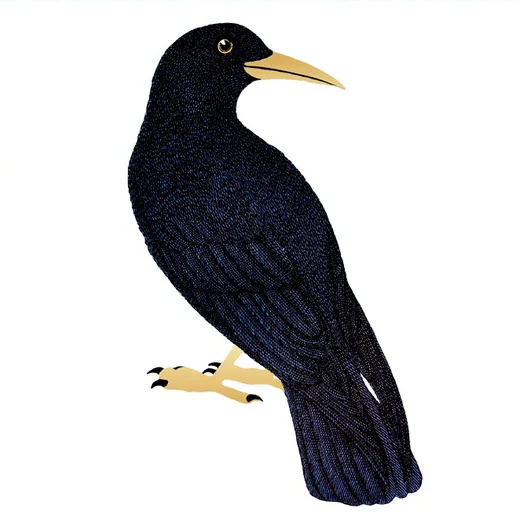 Golden Crow - Tattoonie - Image 2
