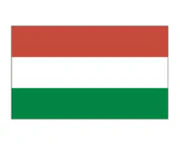 Hungary Flag Tattoo