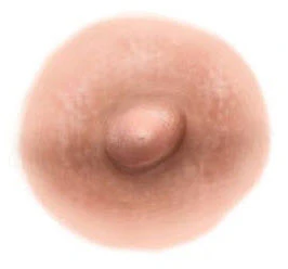 Light Tan Nipple Temporary Tattoo (L)