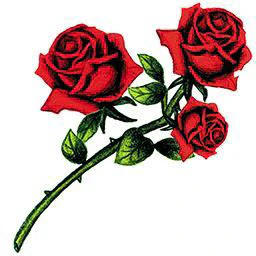 Multiple Roses On Stem Tattoo