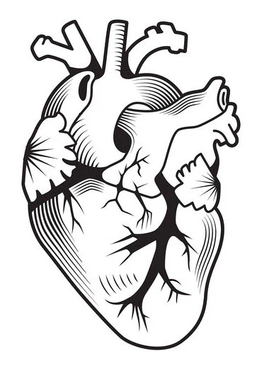 Strepik Anatomical Heart Tattoo