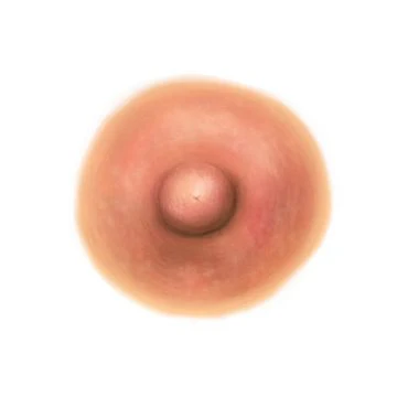 Tan Nipple Temporary Tattoo (M)